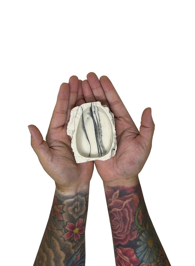 BIODUDE The Bio Dude Small Rock Water Bowl - Looks Natural and Easy to Clean! Great for Small Snakes, Lizards, Frogs and Tarantulas - Image 2